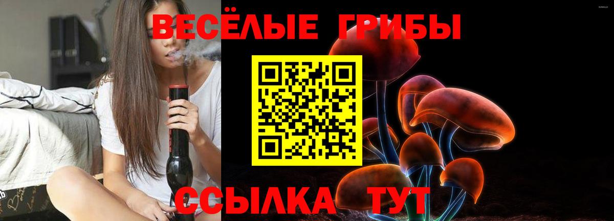 Павлово  Галлюциногенные грибы MAGIC MUSHROOMS  Галлюциногенные грибы Cubensis  Вход с VPN 